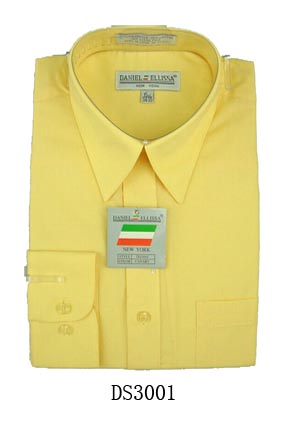DS3001