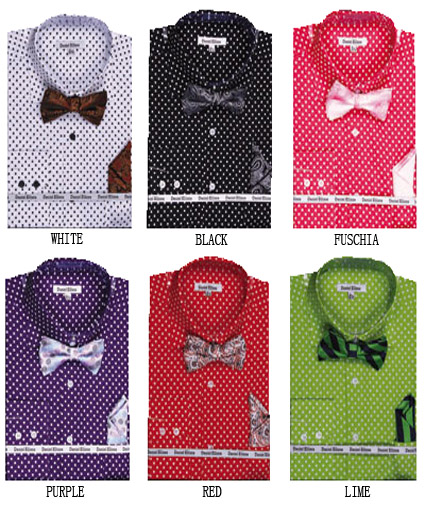 DS3756P2 MULTI