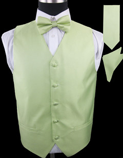 VS804 APPLE GREEN